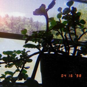 Meet your Posher, Loren